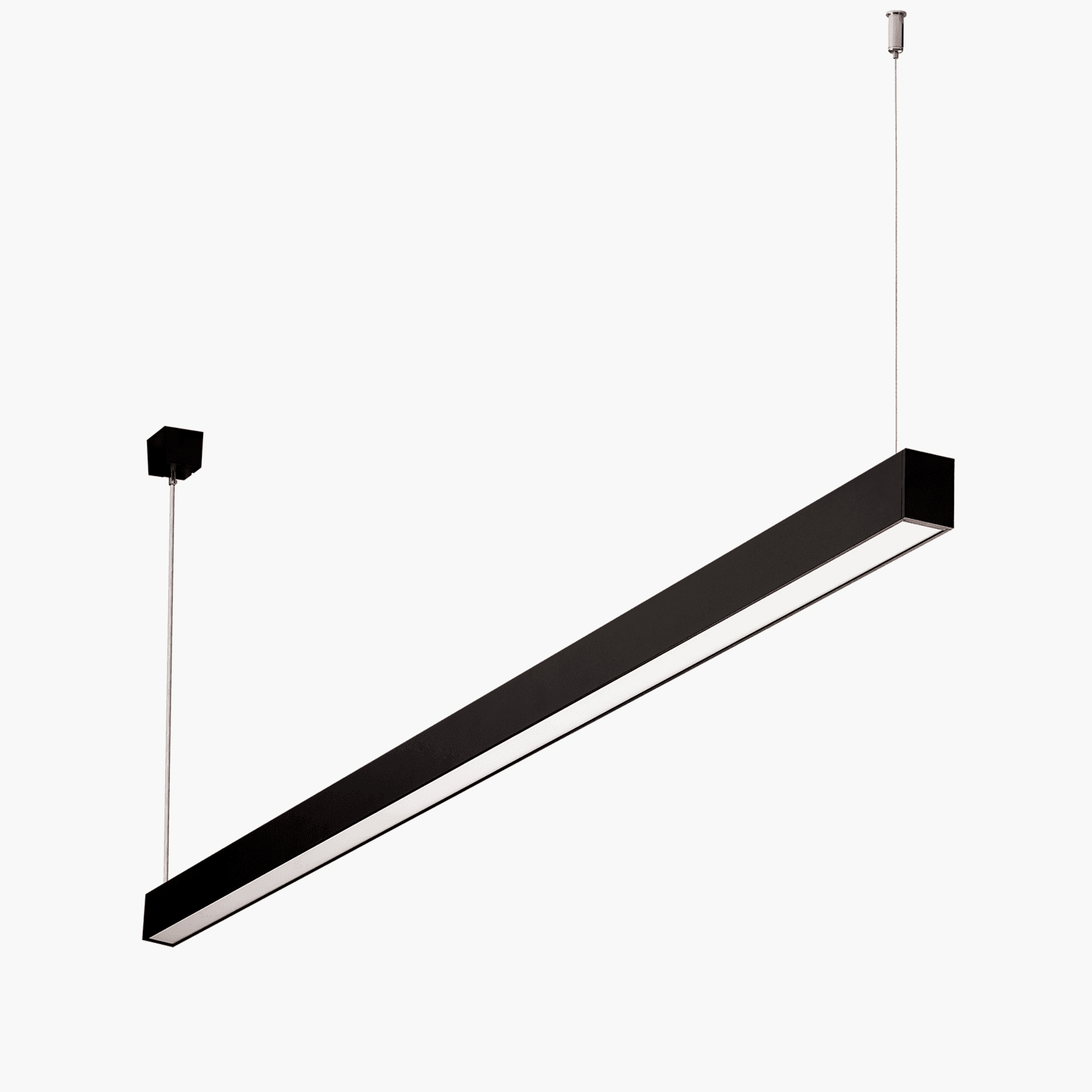 Adina M Aviz-1